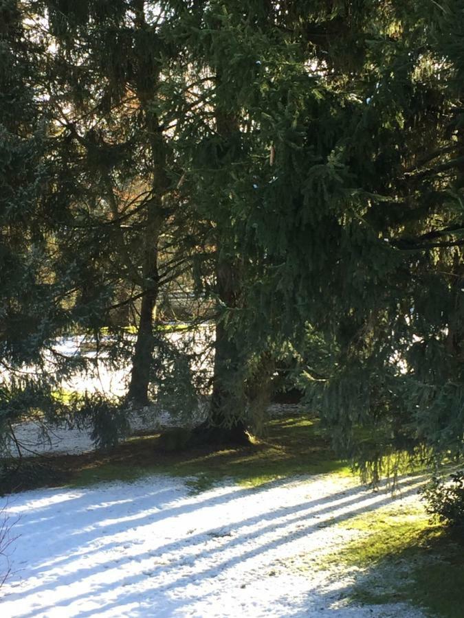 مبيت وإفطار Moigny La Ferme Des Ruelles المظهر الخارجي الصورة